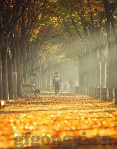 果冻传媒在线完整免费网站在线观看-探索果冻传媒，在线完整免费观影的奇妙之旅