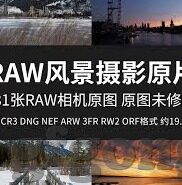 麻豆视频入口在线-人与互联网，探索数字时代的多元化娱乐
