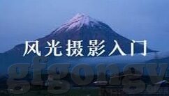 欧美大象视频在线播放-探索自然奇观，欧美大象的生态与行为